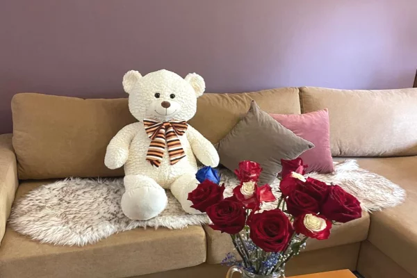 Shtepi me qera 1+1 ne Tirane - 700 Euro