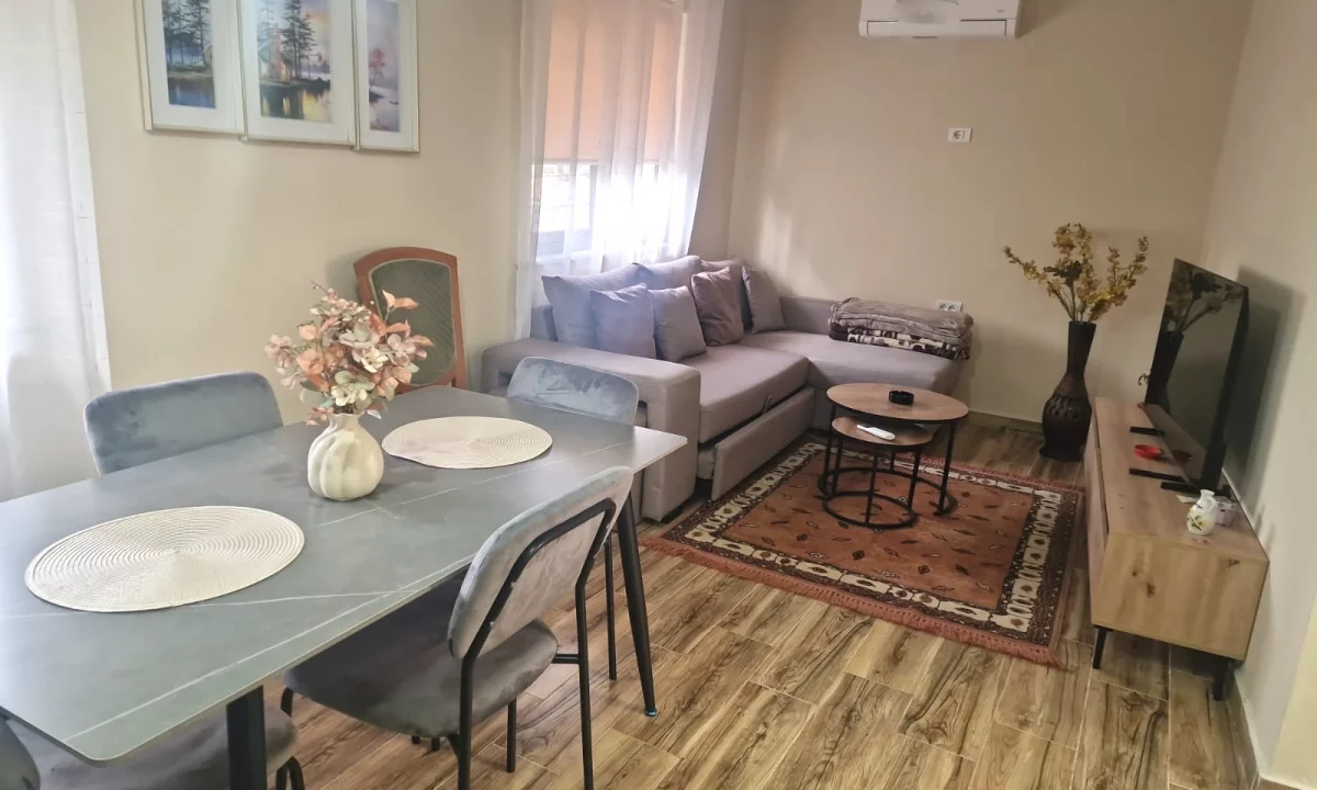 Shtepi me qera Apartament ne Tirane, 1+1, Mobilimi E mobiluar, Pagesa 500  Euro.