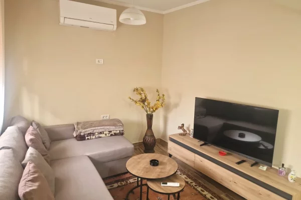 Shtepi me qera Apartament ne Tirane, 1+1, Mobilimi E mobiluar, Pagesa 500  Euro.