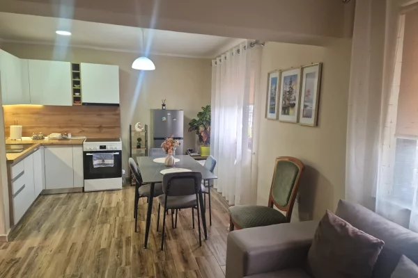 Shtepi me qera Apartament ne Tirane, 1+1, Mobilimi E mobiluar, Pagesa 500  Euro.