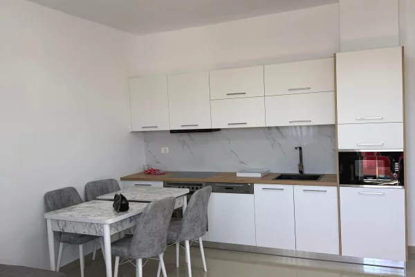 Shtepi me qera Apartament ne Tirane, 1+1, Mobilimi E mobiluar, Pagesa 48,000  Leke.