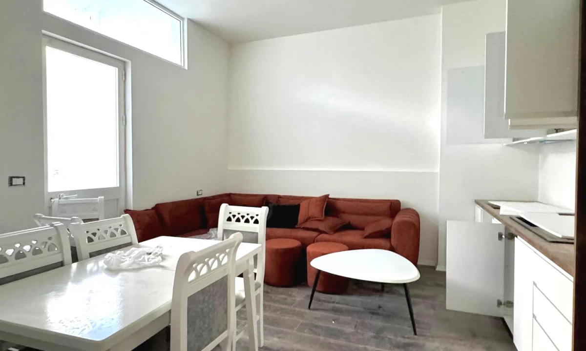 Shtepi ne shitje Apartament ne Tirane, 1+1, Mobilimi E mobiluar, Pagesa 150,000  Euro.