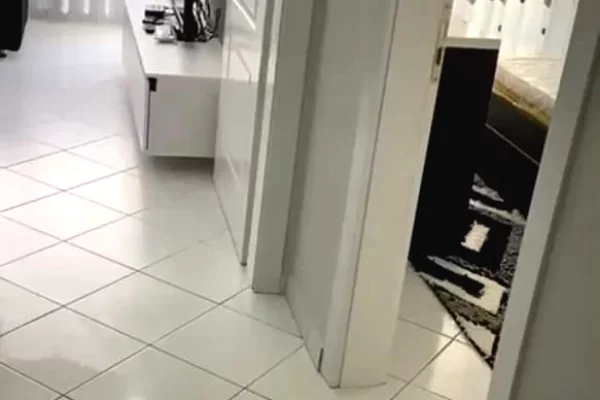 Shtepi me qera Apartament ne Tirane, 1+1, Mobilimi E mobiluar, Pagesa 450  Euro.