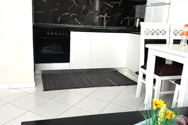 Shtepi me qera Apartament ne Tirane, 1+1, Mobilimi E mobiluar, Pagesa 450  Euro.