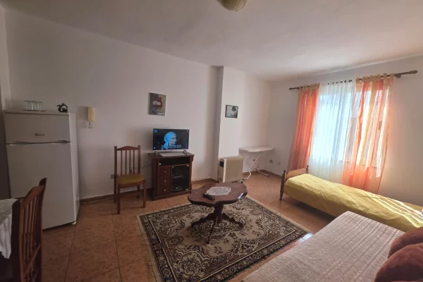 Shtepi me qera Apartament ne Tirane, 1+1, Mobilimi E mobiluar, Pagesa 500  Euro.