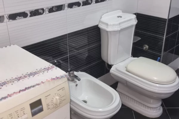 Shtepi me qera Apartament ne Tirane, 1+1, Mobilimi E mobiluar, Pagesa 45,000  Leke.