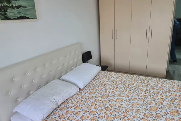 Shtepi me qera Apartament ne Tirane, 1+1, Mobilimi E mobiluar, Pagesa 45,000  Leke.