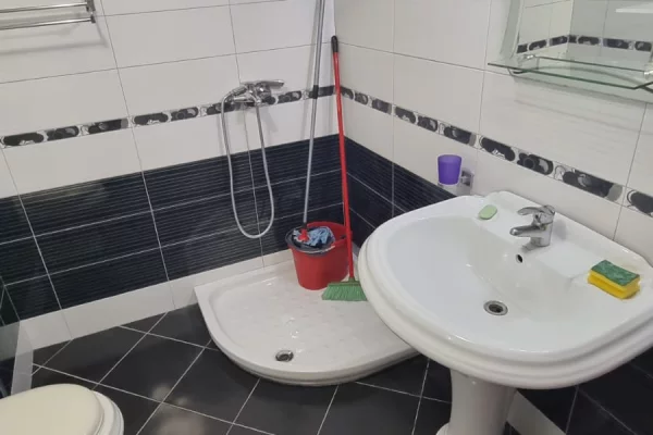 Shtepi me qera Apartament ne Tirane, 1+1, Mobilimi E mobiluar, Pagesa 45,000  Leke.