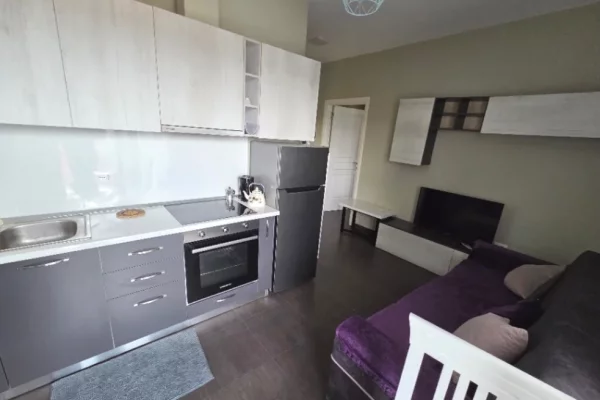 Shtepi me qera Apartament ne Tirane, 1+1, Mobilimi E mobiluar, Pagesa 450  Euro.