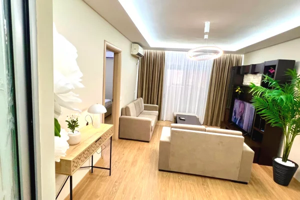 Shtepi me qera Apartament ne Tirane, 1+1, Mobilimi E mobiluar, Pagesa 55,000  Leke.