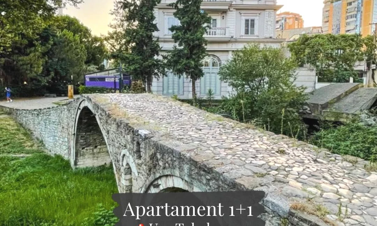 Shtepi me qera Apartament ne Tirane, 1+1, Mobilimi E mobiluar, Pagesa 550  Euro.