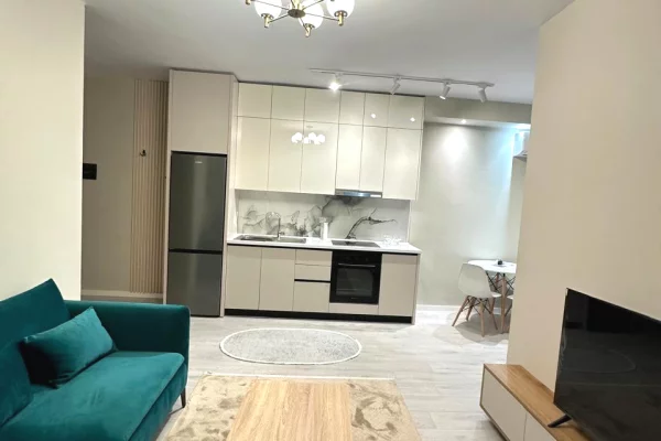 Shtepi me qera Apartament ne Tirane, 1+1, Mobilimi E mobiluar, Pagesa 450  Euro.