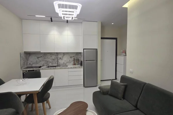 Shtepi me qera Apartament ne Tirane, 1+1, Mobilimi E mobiluar, Pagesa 450  Euro.