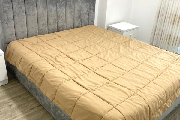 Shtepi me qera Apartament ne Tirane, 1+1, Mobilimi E mobiluar, Pagesa 50,000  Leke.