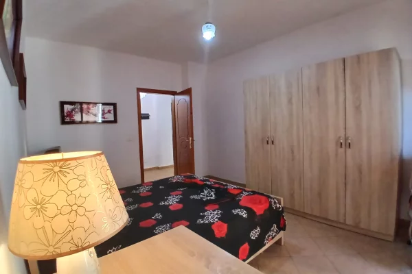 Shtepi ne shitje Apartament ne Tirane, 1+1, Mobilimi E mobiluar, Pagesa 11,800,000  Leke.