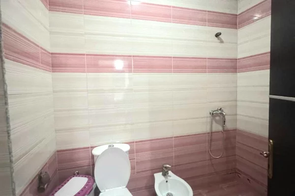 Shtepi me qera Apartament ne Tirane, 1+1, Mobilimi E mobiluar, Pagesa 40,000  Leke.