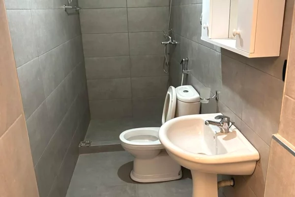 Shtepi me qera Apartament ne Tirane, Garsoniere, Mobilimi E mobiluar, Pagesa 450  Euro.