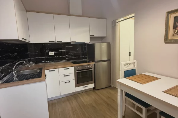 Shtepi ne shitje Apartament ne Tirane, Garsoniere, Mobilimi E mobiluar, Pagesa 98,000  Euro.