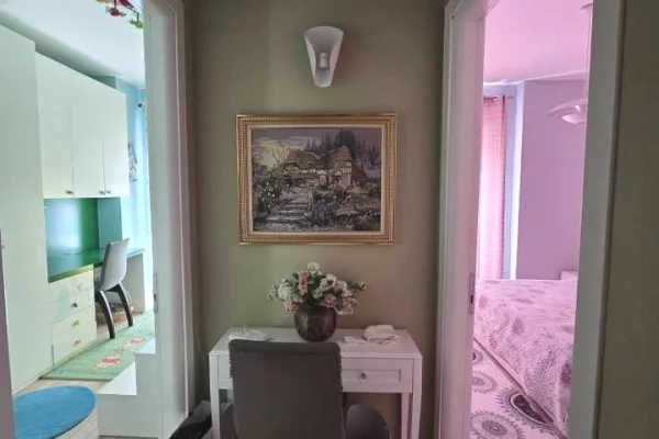 Shtepi me qera Apartament ne Tirane, 2+1, Mobilimi E mobiluar, Pagesa 60,000  Leke.