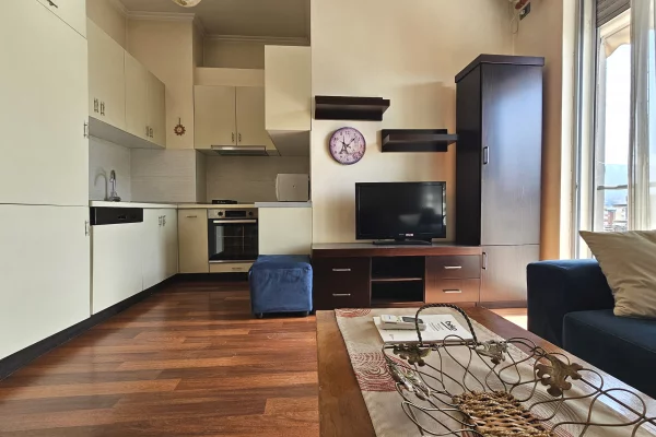 Shtepi me qera Apartament ne Tirane, 1+1, Mobilimi E mobiluar, Pagesa 600  Euro.