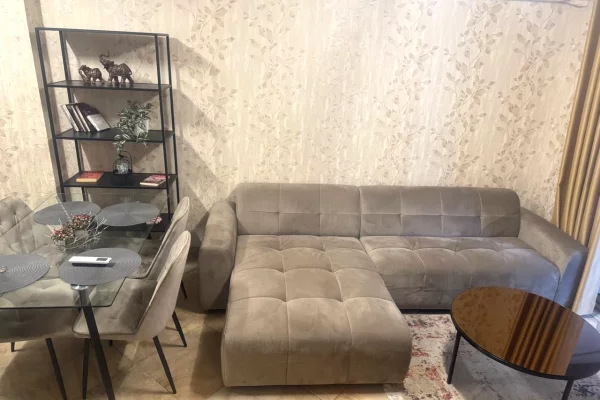 Shtepi me qera Apartament ne Tirane, 1+1, Mobilimi E mobiluar, Pagesa 650  Euro.