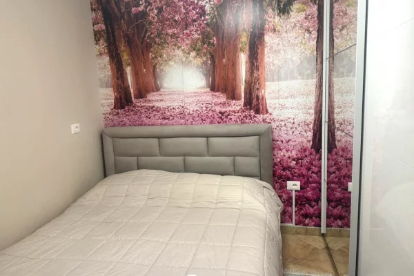 Shtepi me qera Apartament ne Tirane, 1+1, Mobilimi E mobiluar, Pagesa 650  Euro.