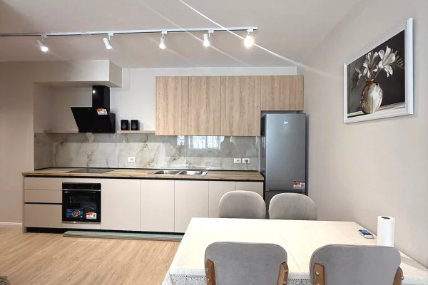 Shtepi me qera Apartament ne Tirane, 1+1, Mobilimi E mobiluar, Pagesa 60,000  Leke.