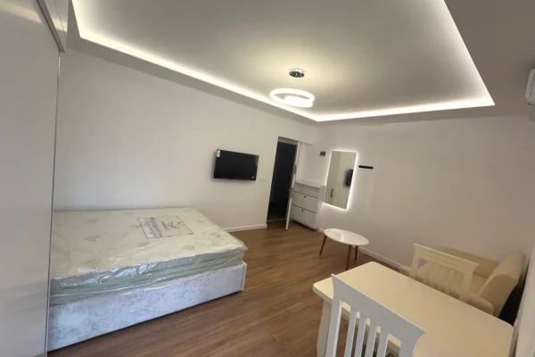 Shtepi ne shitje Apartament ne Tirane, Garsoniere, Mobilimi E mobiluar, Pagesa 8,800,000  Leke.