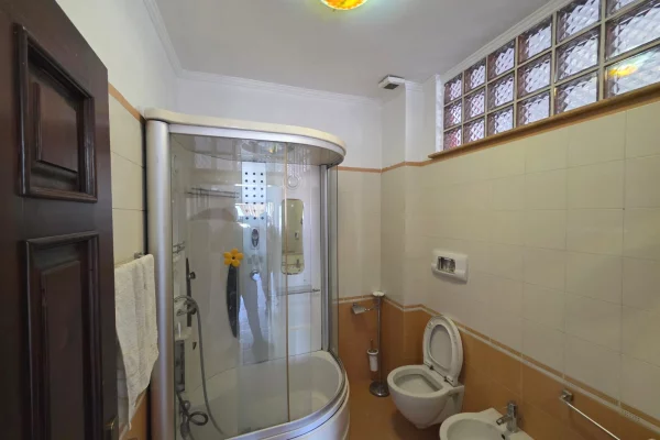 Shtepi me qera Apartament ne Tirane, 1+1, Mobilimi E mobiluar, Pagesa 500  Euro.