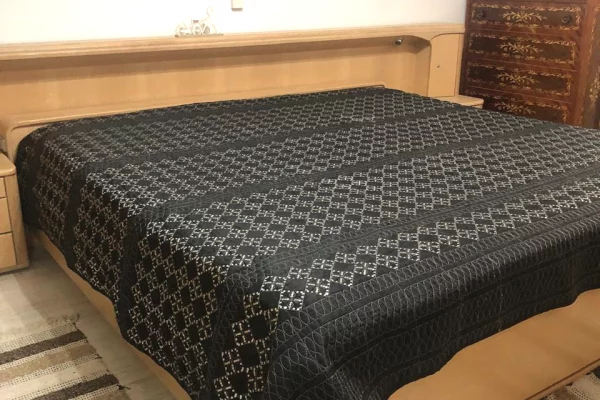 Shtepi me qera Apartament ne Tirane, 1+1, Mobilimi E mobiluar, Pagesa 45,000  Leke.