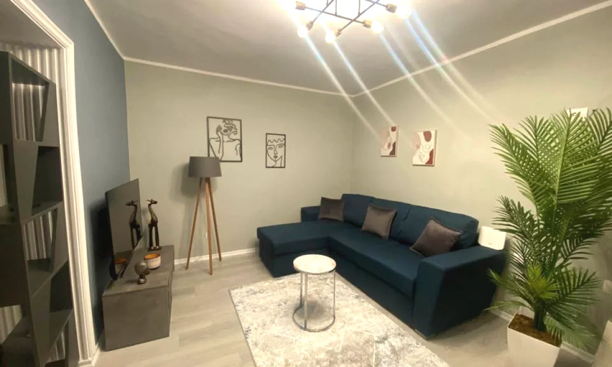 Shtepi me qera Apartament ne Tirane, 1+1, Mobilimi E mobiluar, Pagesa 65,000  Leke.