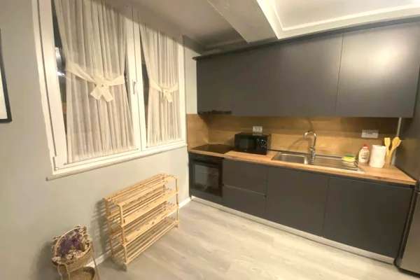 Shtepi me qera Apartament ne Tirane, 1+1, Mobilimi E mobiluar, Pagesa 65,000  Leke.