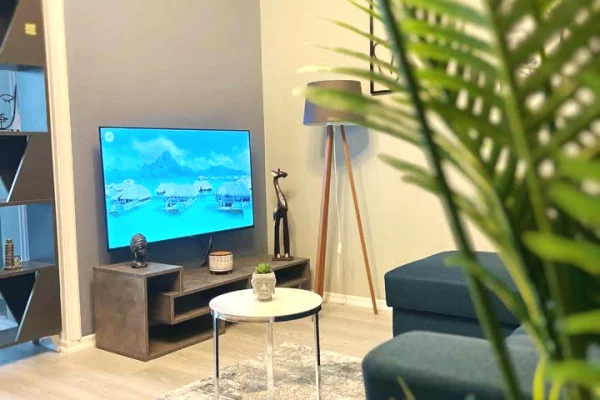 Shtepi me qera Apartament ne Tirane, 1+1, Mobilimi E mobiluar, Pagesa 65,000  Leke.