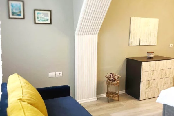 Shtepi me qera Apartament ne Tirane, 1+1, Mobilimi E mobiluar, Pagesa 65,000  Leke.