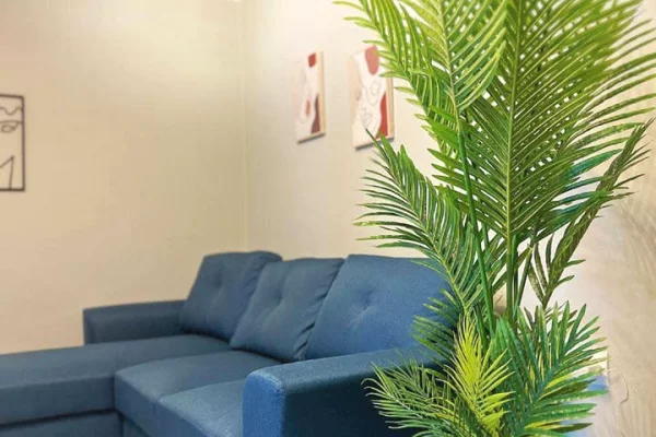 Shtepi me qera Apartament ne Tirane, 1+1, Mobilimi E mobiluar, Pagesa 65,000  Leke.