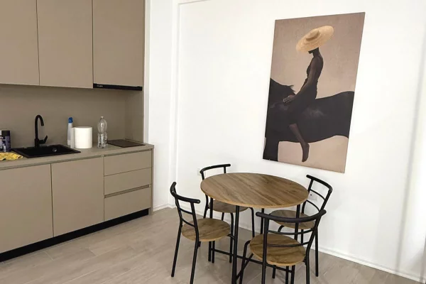 Shtepi me qera Apartament ne Tirane, Garsoniere, Mobilimi E mobiluar, Pagesa 400  Euro.