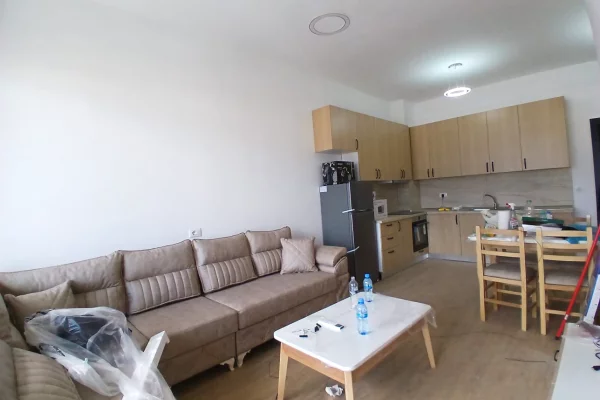 Shtepi me qera Apartament ne Tirane, 1+1, Mobilimi E mobiluar, Pagesa 500  Euro.