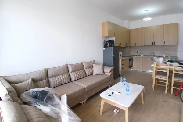 Shtepi me qera Apartament ne Tirane, 1+1, Mobilimi E mobiluar, Pagesa 500  Euro.