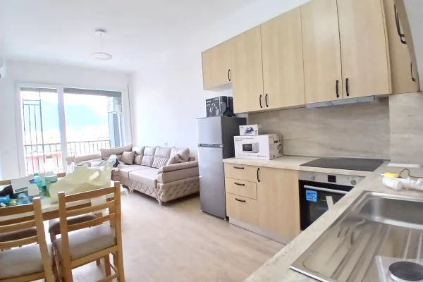 Shtepi me qera Apartament ne Tirane, 1+1, Mobilimi E mobiluar, Pagesa 500  Euro.