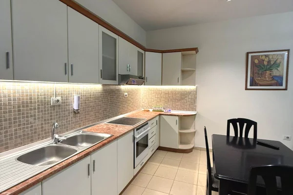 Shtepi me qera Apartament ne Tirane, 1+1, Mobilimi E mobiluar, Pagesa 50,000  Leke.