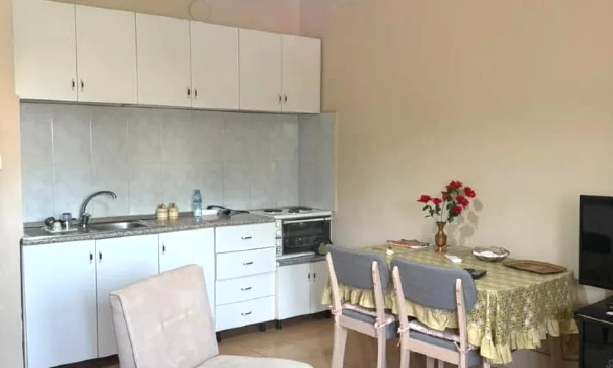 Shtepi me qera Apartament ne Tirane, Garsoniere, Mobilimi E mobiluar, Pagesa 400  Euro.