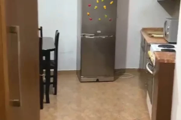 Shitet apartament 1+1 ne Astir te "2 Palmat