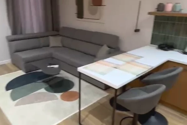 Shtepi ne shitje Apartament ne Tirane, 1+1, Mobilimi E mobiluar, Pagesa 151,000  Euro.