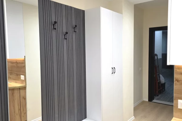 Shtepi me qera Apartament ne Tirane, 2+1, Mobilimi E mobiluar, Pagesa 60,000  Leke.