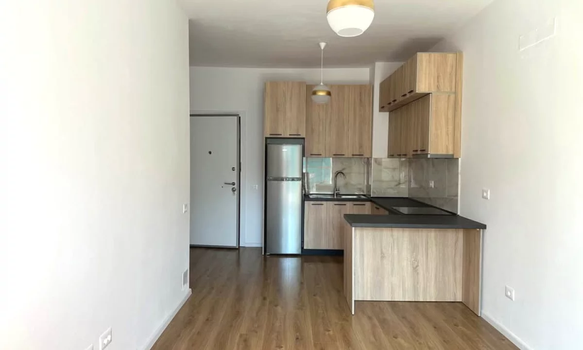 Shtepi me qera Apartament ne Tirane, 1+1, Mobilimi Pjeserisht e mobiluar, Pagesa 35,000  Leke.