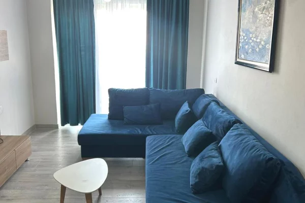 Shtepi me qera Apartament ne Tirane, 1+1, Mobilimi E mobiluar, Pagesa 55,000  Leke.