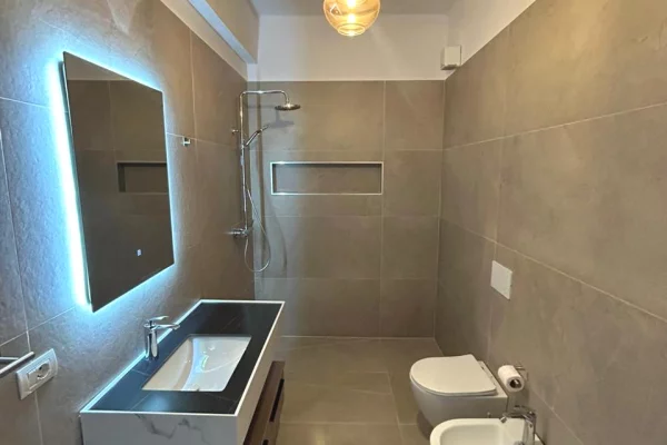 Shtepi me qera Apartament ne Tirane, 1+1, Mobilimi E mobiluar, Pagesa 55,000  Leke.