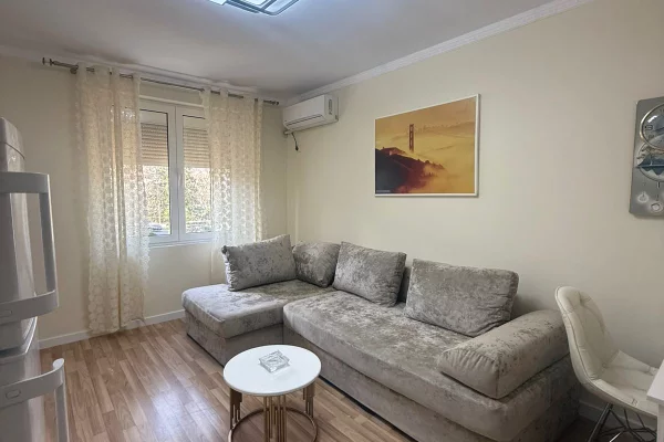 Shtepi me qera 1+1 ne Tirane - 55,000 Leke