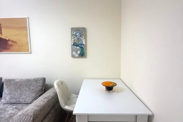 Shtepi me qera Apartament ne Tirane, 1+1, Mobilimi E mobiluar, Pagesa 55,000  Leke.