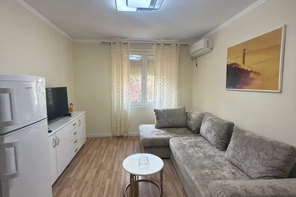 Shtepi me qera Apartament ne Tirane, 1+1, Mobilimi E mobiluar, Pagesa 55,000  Leke.
